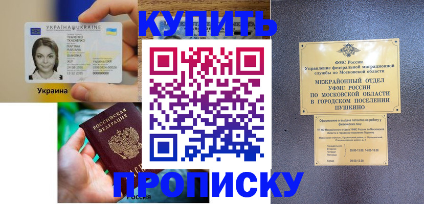 прописка законно в Александровске